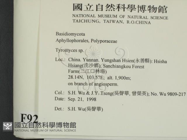 登錄號:F0009290藏品圖，第2張