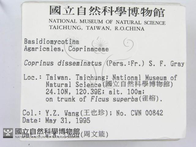 登錄號:F0003290藏品圖，第2張