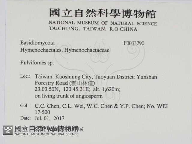 登錄號:F0033290藏品圖，第2張