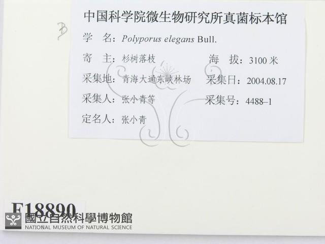 登錄號:F0018890藏品圖，第2張