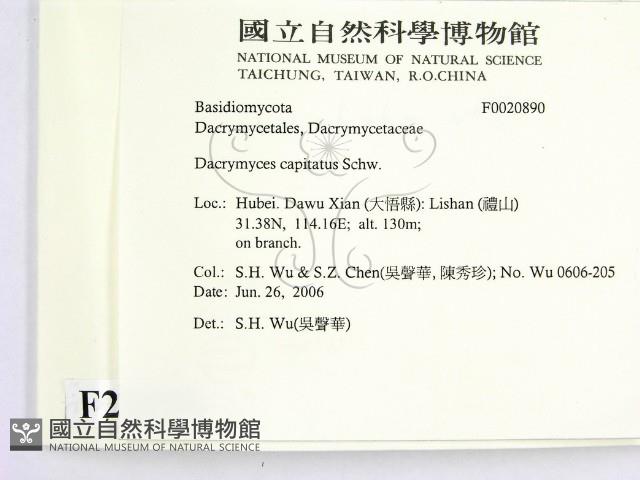 登錄號:F0020890藏品圖，第2張