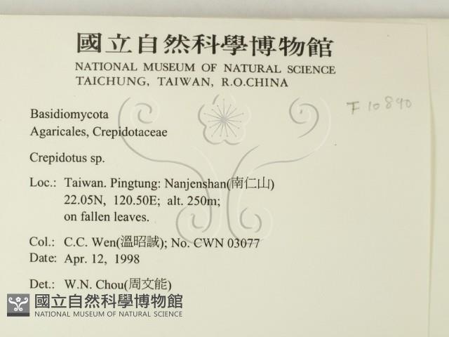 登錄號:F0010890藏品圖，第2張