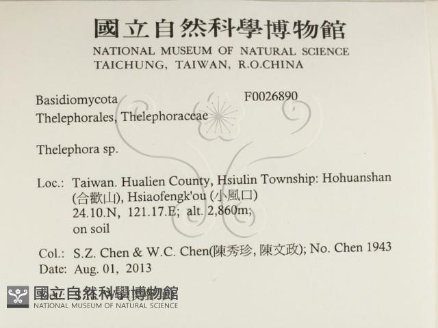 革菌屬藏品圖，第2張