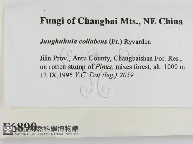 登錄號:F0006890藏品圖，第2張