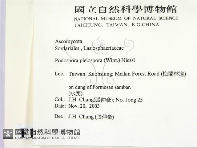 登錄號:F0016890藏品圖，第2張