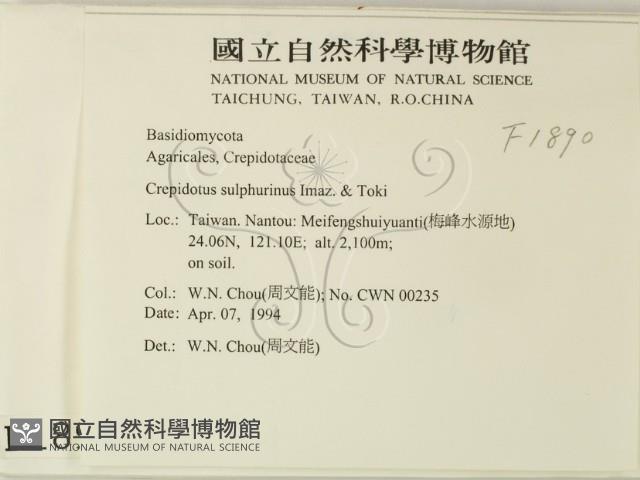 登錄號:F0001890藏品圖，第2張