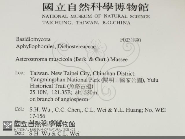 登錄號:F0031890藏品圖，第2張