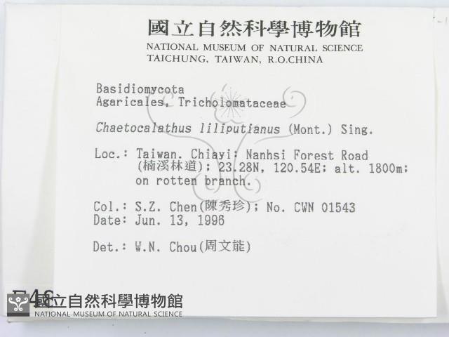 登錄號:F0004890藏品圖，第2張