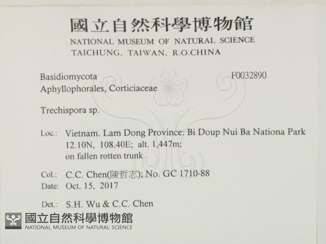 登錄號:F0032890藏品圖，第2張