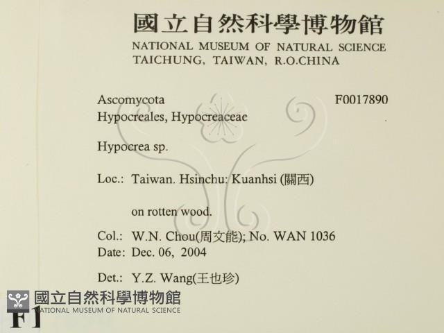 登錄號:F0017890藏品圖，第2張
