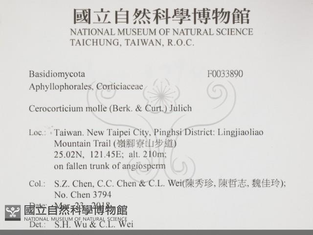 登錄號:F0033890藏品圖，第2張