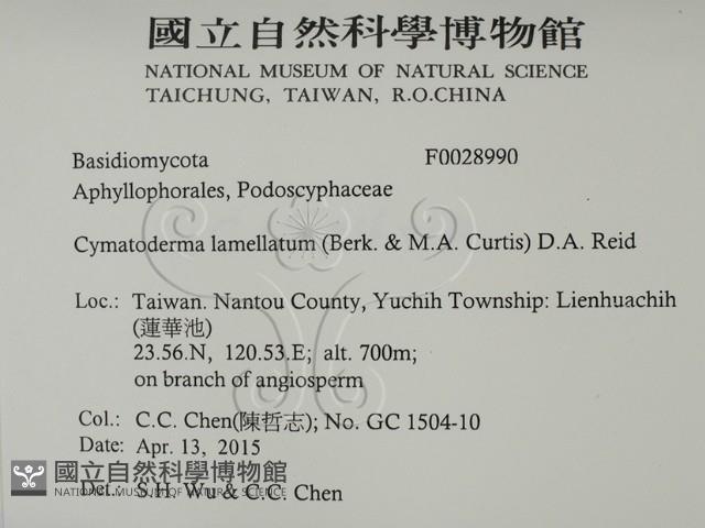 登錄號:F0028990藏品圖，第2張