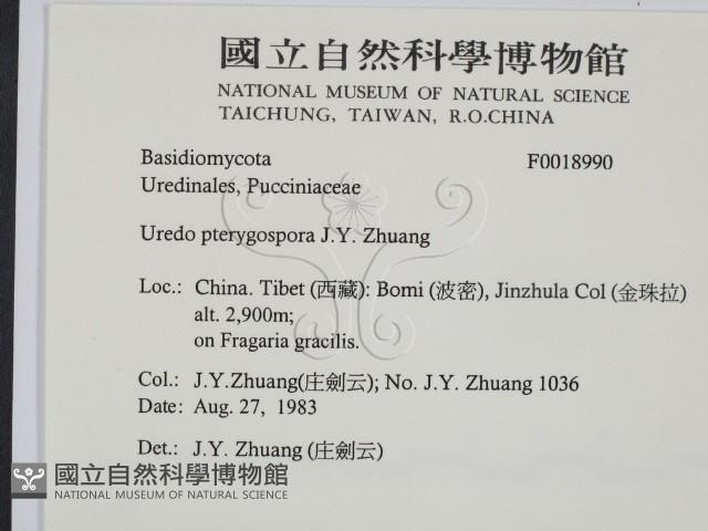 登錄號:F0018990藏品圖，第2張
