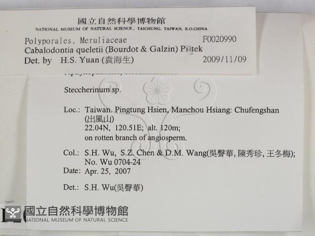登錄號:F0020990藏品圖，第2張