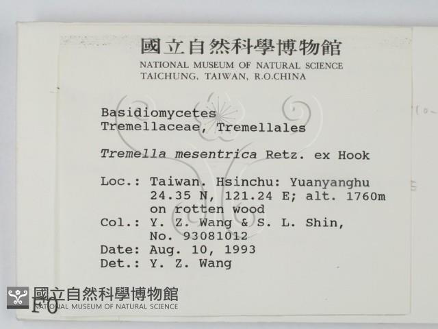 登錄號:F0000990藏品圖，第2張