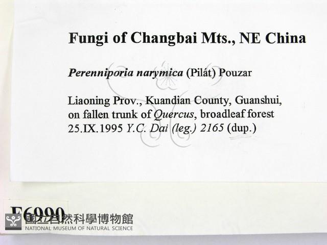 登錄號:F0006990藏品圖，第2張