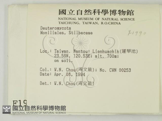 登錄號:F0001990藏品圖，第2張