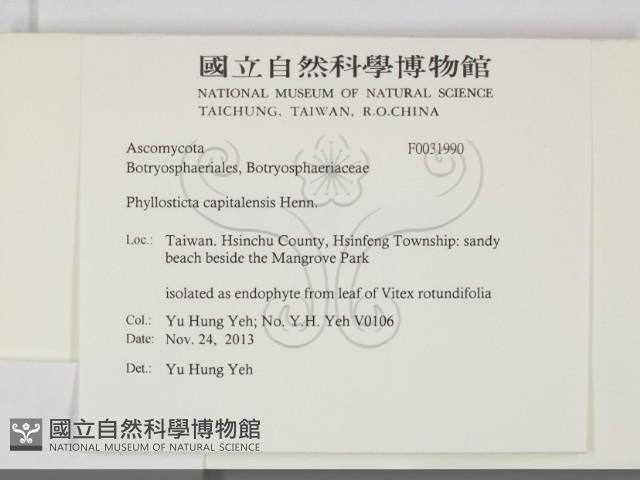 登錄號:F0031990藏品圖，第2張