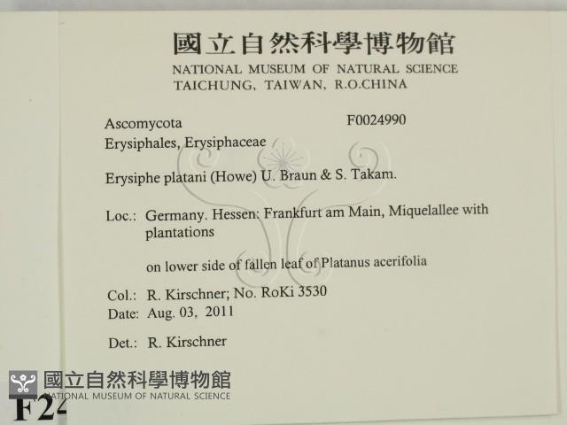 登錄號:F0024990藏品圖，第2張