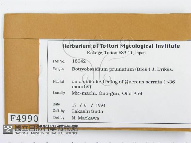 登錄號:F0004990藏品圖，第2張