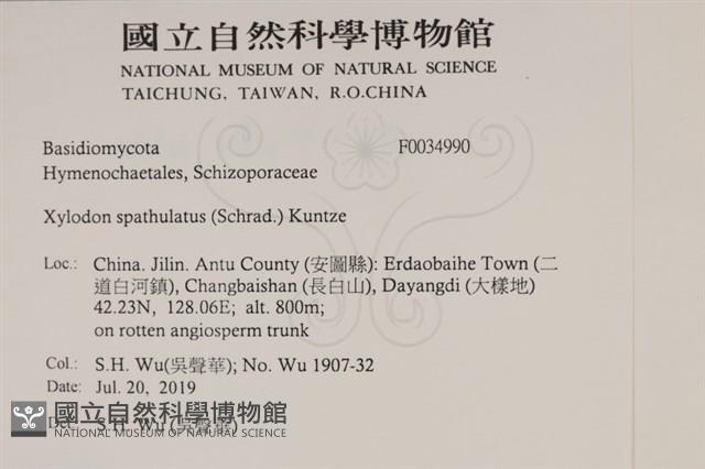 登錄號:F0034990藏品圖，第2張