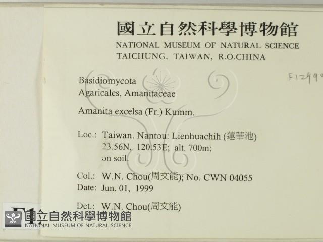 登錄號:F0012990藏品圖，第2張