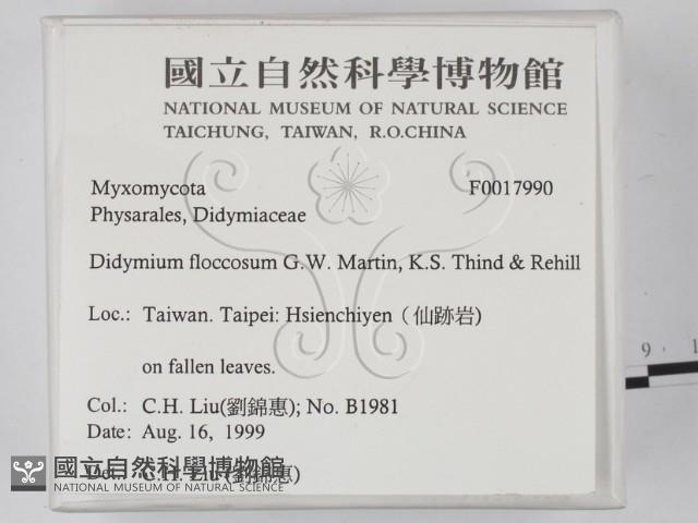 登錄號:F0017990藏品圖，第2張