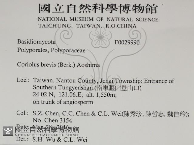 登錄號:F0029990藏品圖，第2張