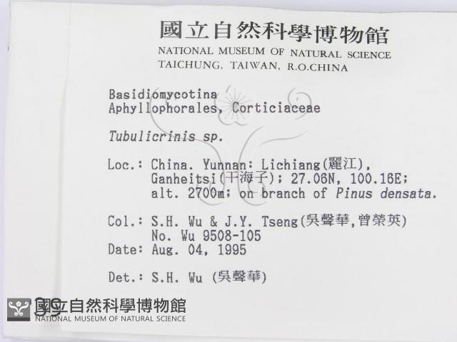 登錄號:F0003990藏品圖，第2張