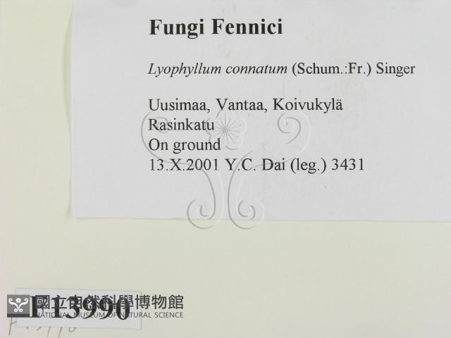 登錄號:F0013990藏品圖，第2張