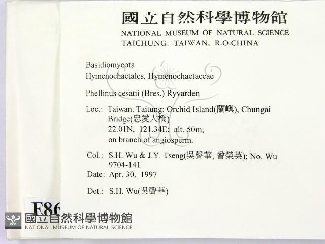登錄號:F0008690藏品圖，第2張