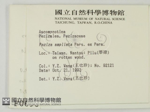 登錄號:F0000690藏品圖，第2張