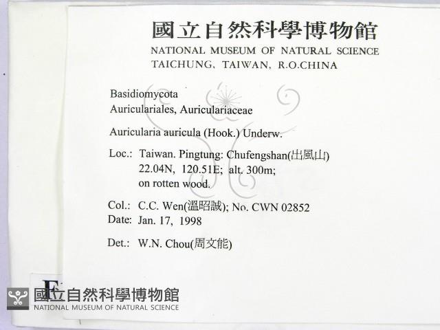 登錄號:F0010690藏品圖，第2張