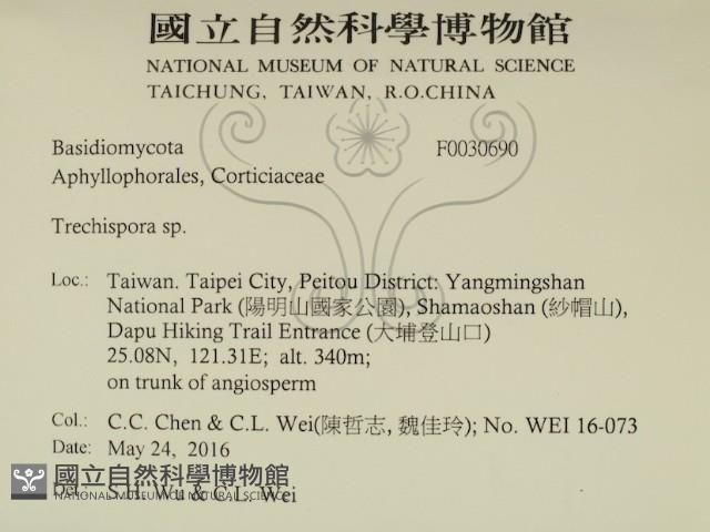登錄號:F0030690藏品圖，第2張
