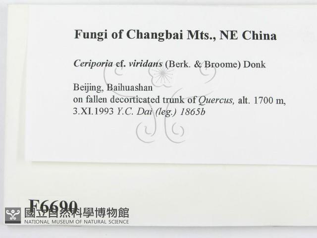 登錄號:F0006690藏品圖，第2張