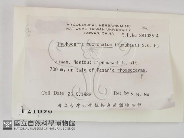 登錄號:F0021690藏品圖，第2張
