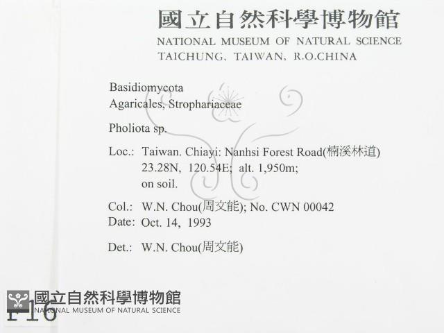 登錄號:F0001690藏品圖，第2張