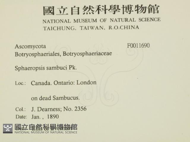登錄號:F0011690藏品圖，第2張