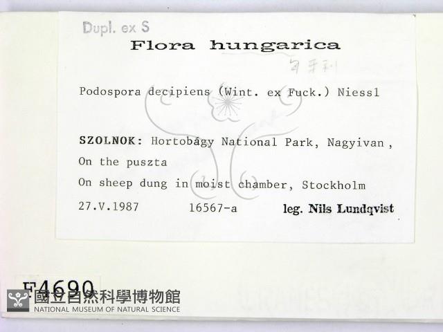 登錄號:F0004690藏品圖，第2張