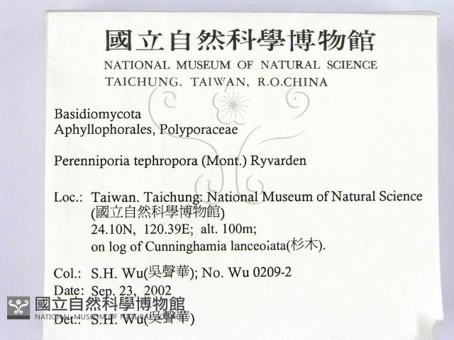 登錄號:F0014690藏品圖，第2張