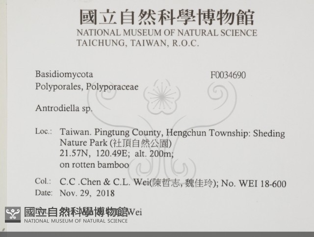 登錄號:F0034690藏品圖，第2張