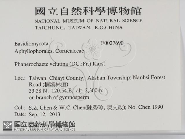 登錄號:F0027690藏品圖，第2張
