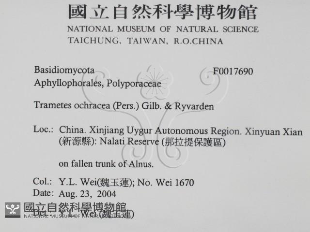 登錄號:F0017690藏品圖，第2張
