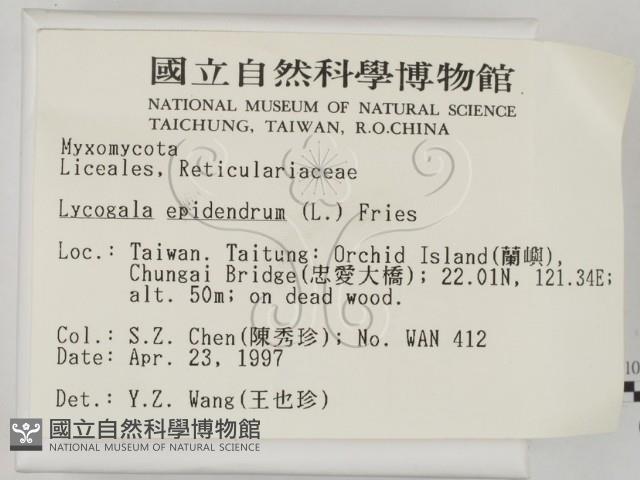 登錄號:F0005690藏品圖，第2張