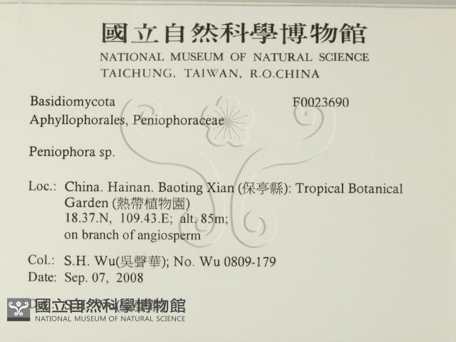 筍殼菌屬藏品圖，第2張