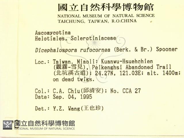 登錄號:F0003690藏品圖，第2張