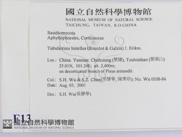 登錄號:F0013690藏品圖，第2張