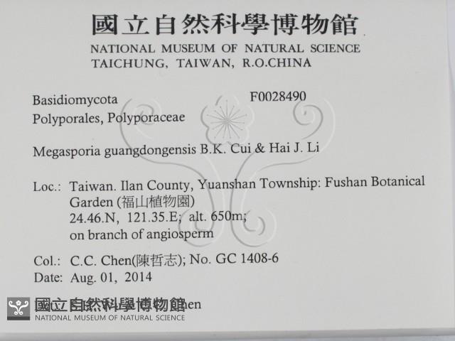 登錄號:F0028490藏品圖，第2張