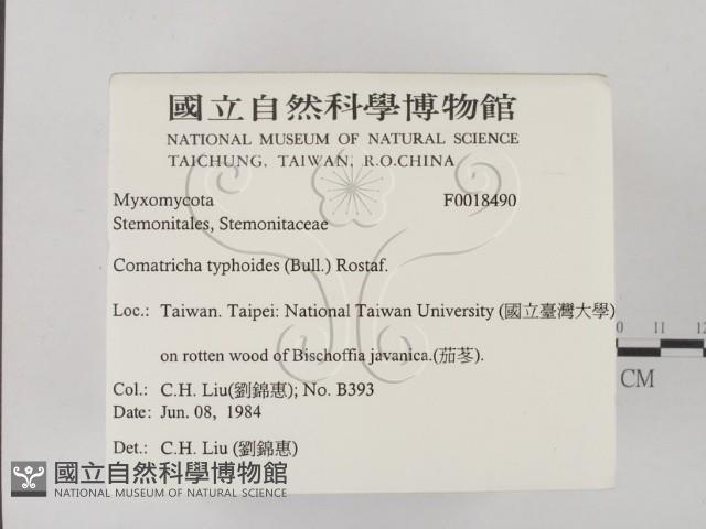 登錄號:F0018490藏品圖，第2張