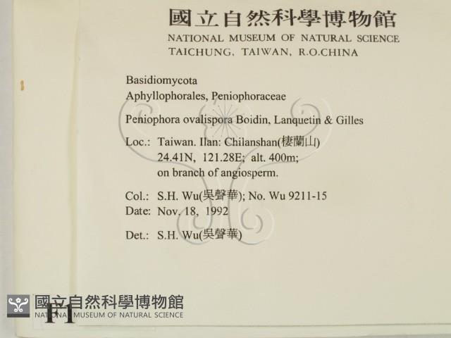 登錄號:F0010490藏品圖，第2張